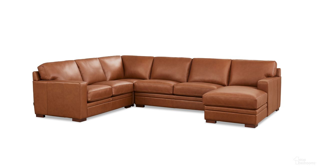 Dillon Collection