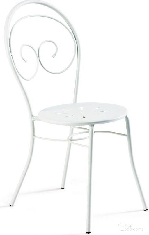 Mimmo Collection