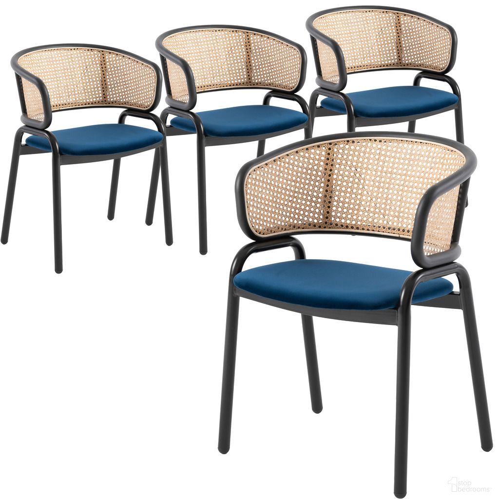 Ervilla Collection