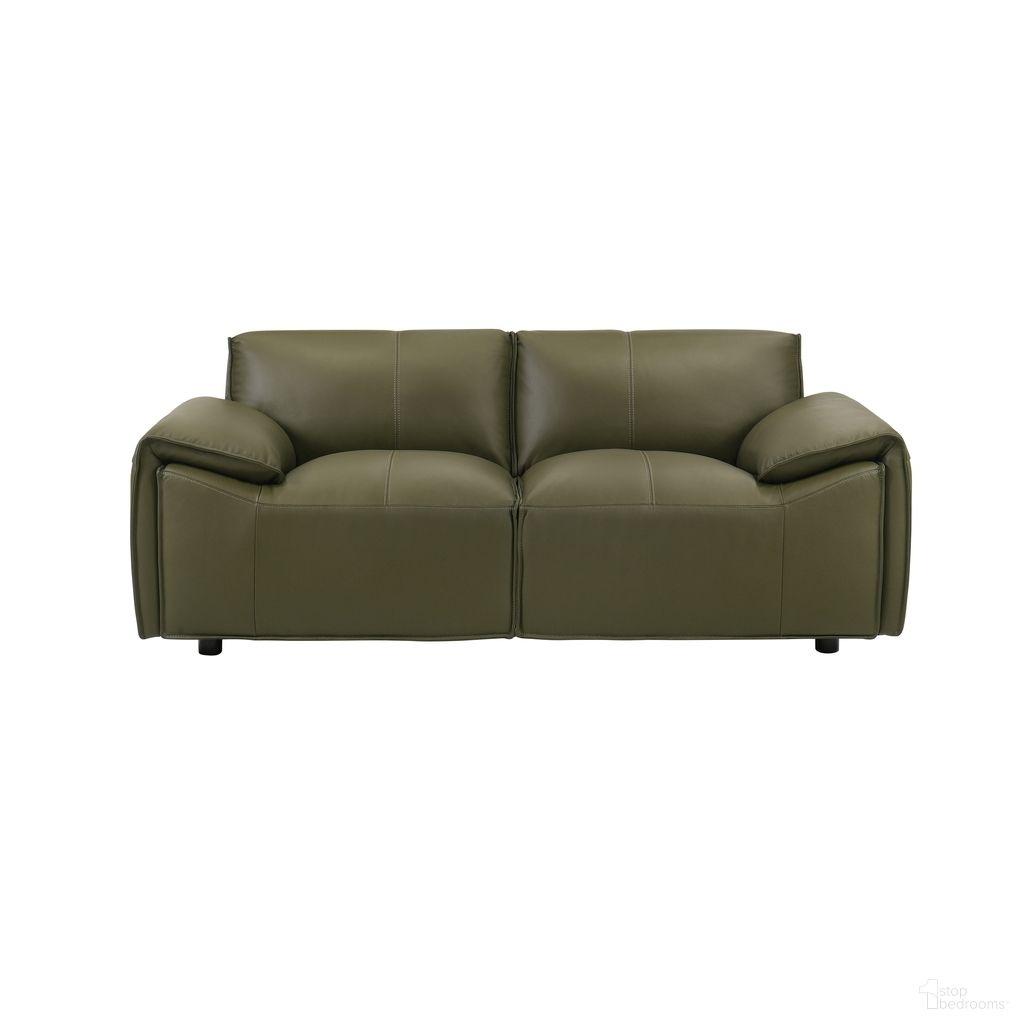 Tanner Collection