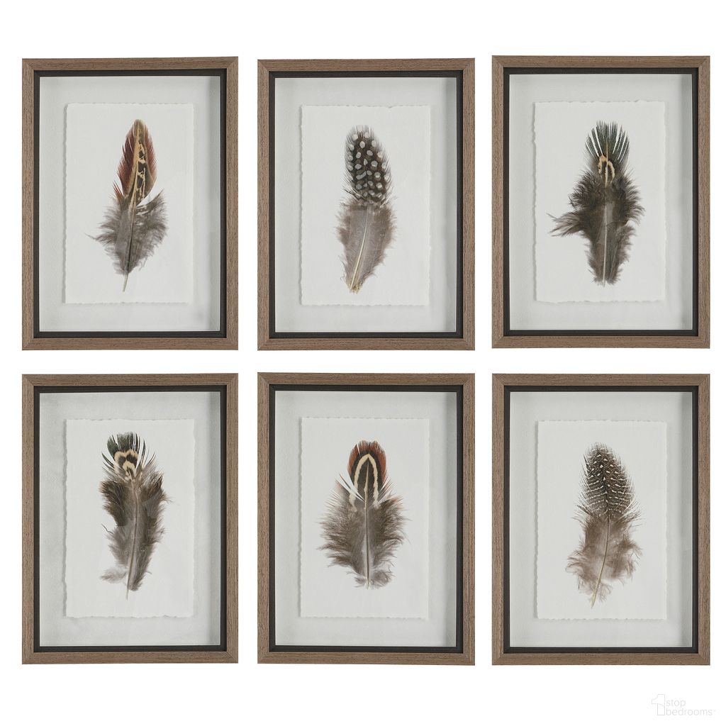 Birds Of A Feather Collection