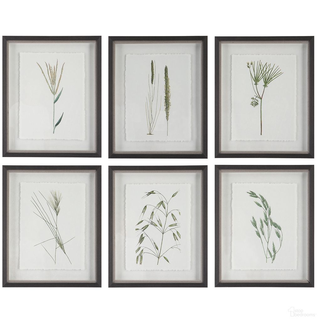 Forest Finds Collection
