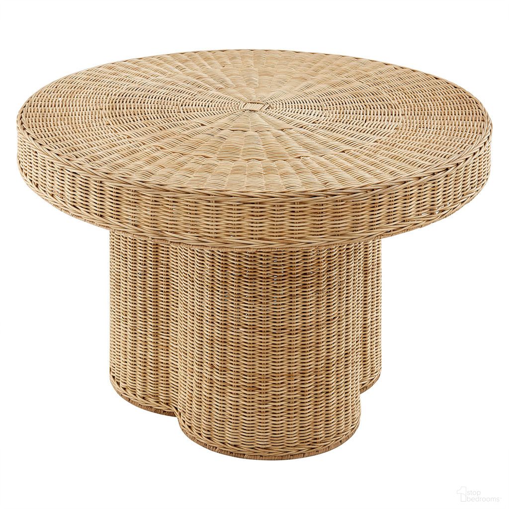 Ainsley Collection