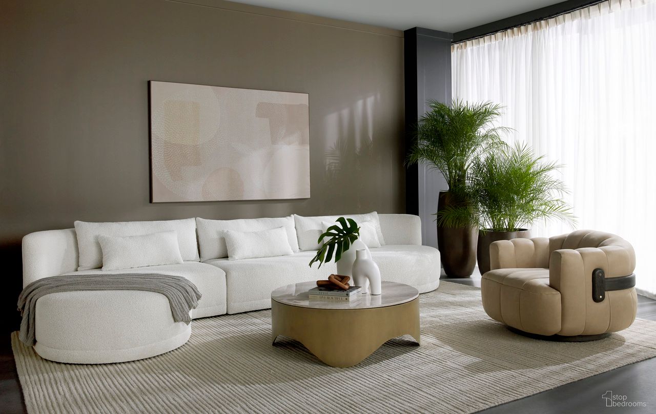 Aster Collection