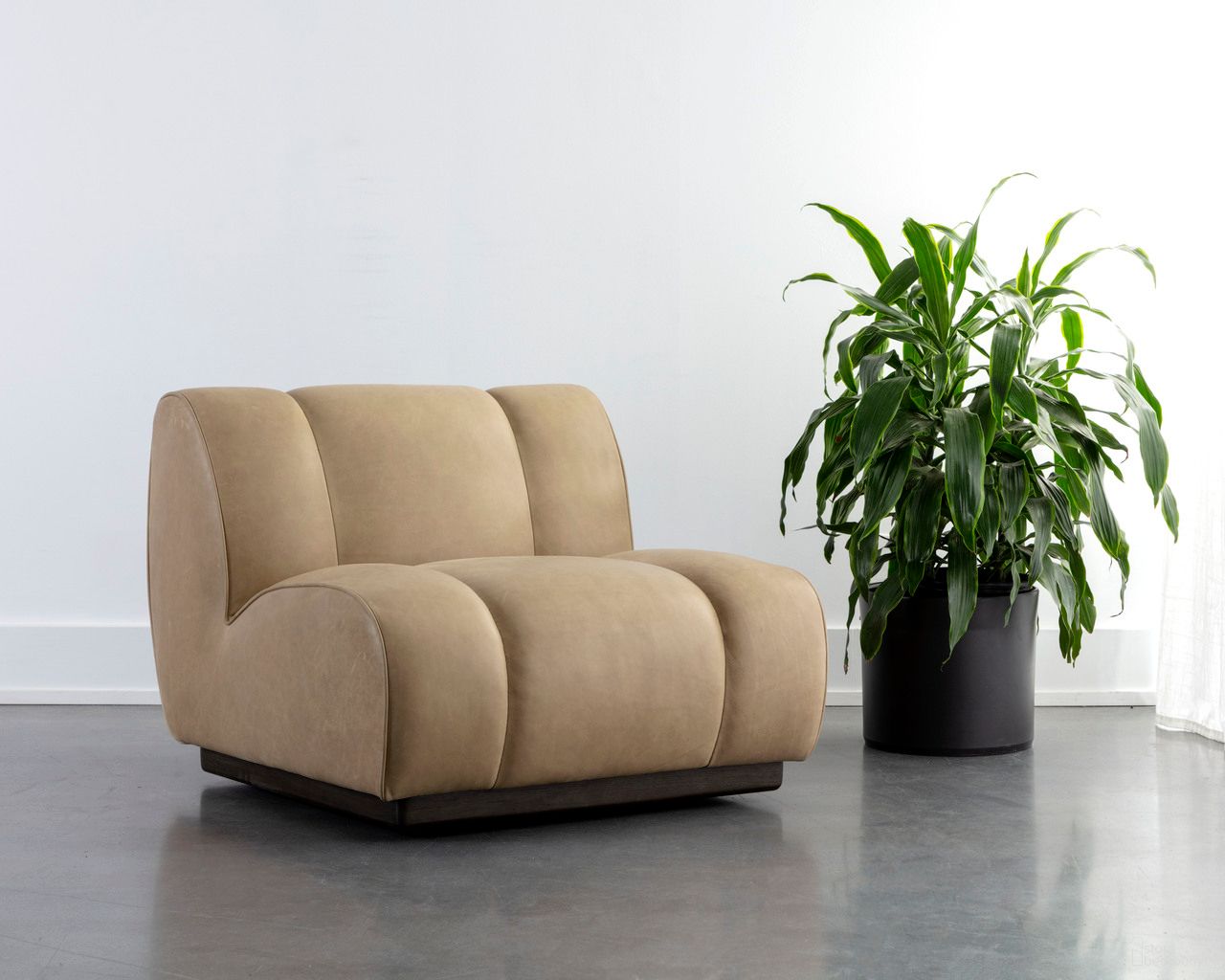 Blaise Collection