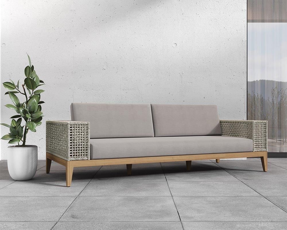 Salerno Collection