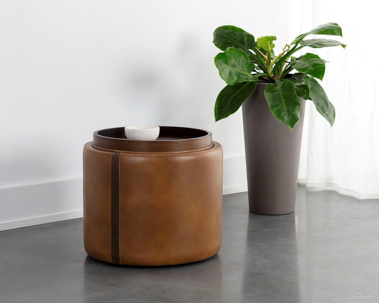 Borelli Collection