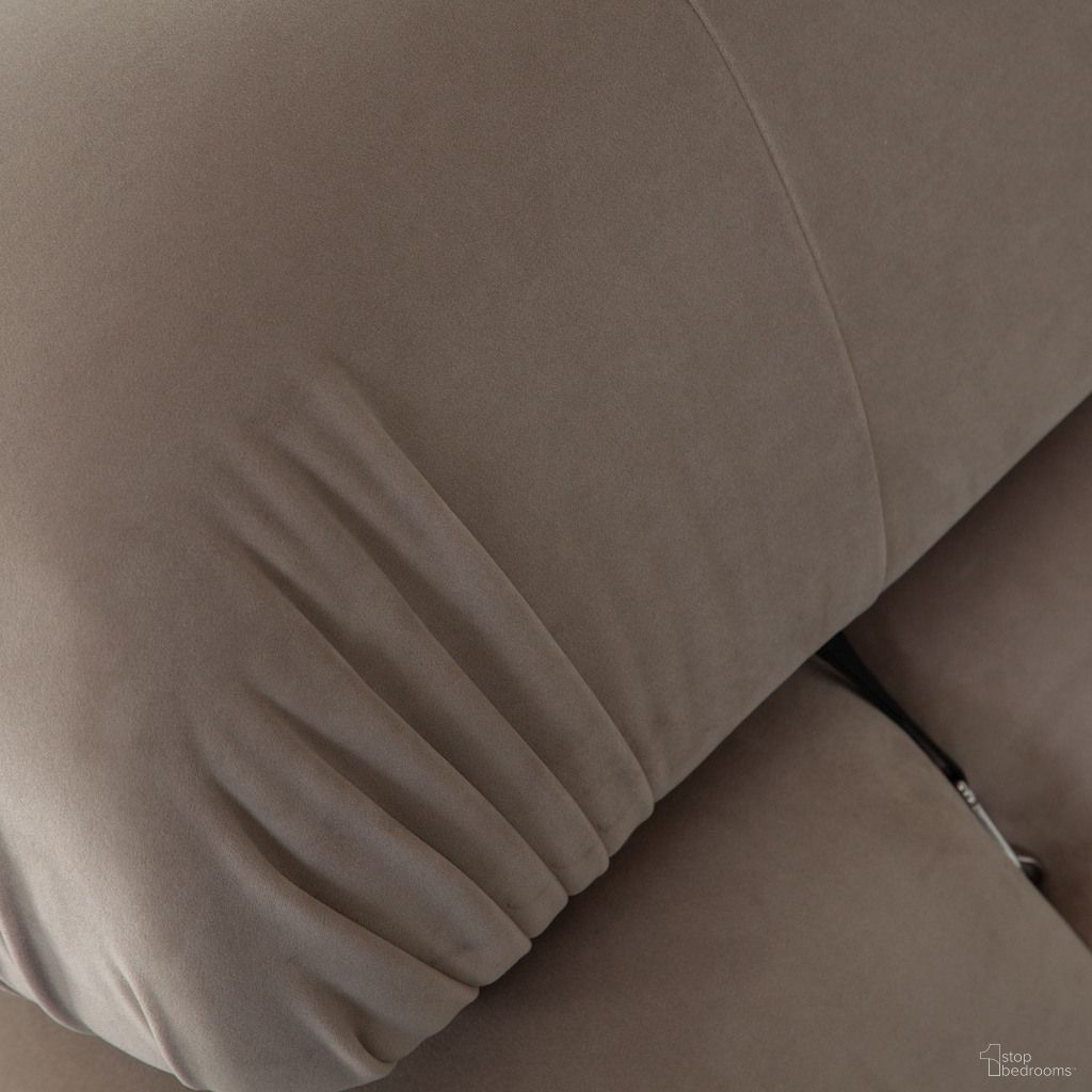 Paloma Collection