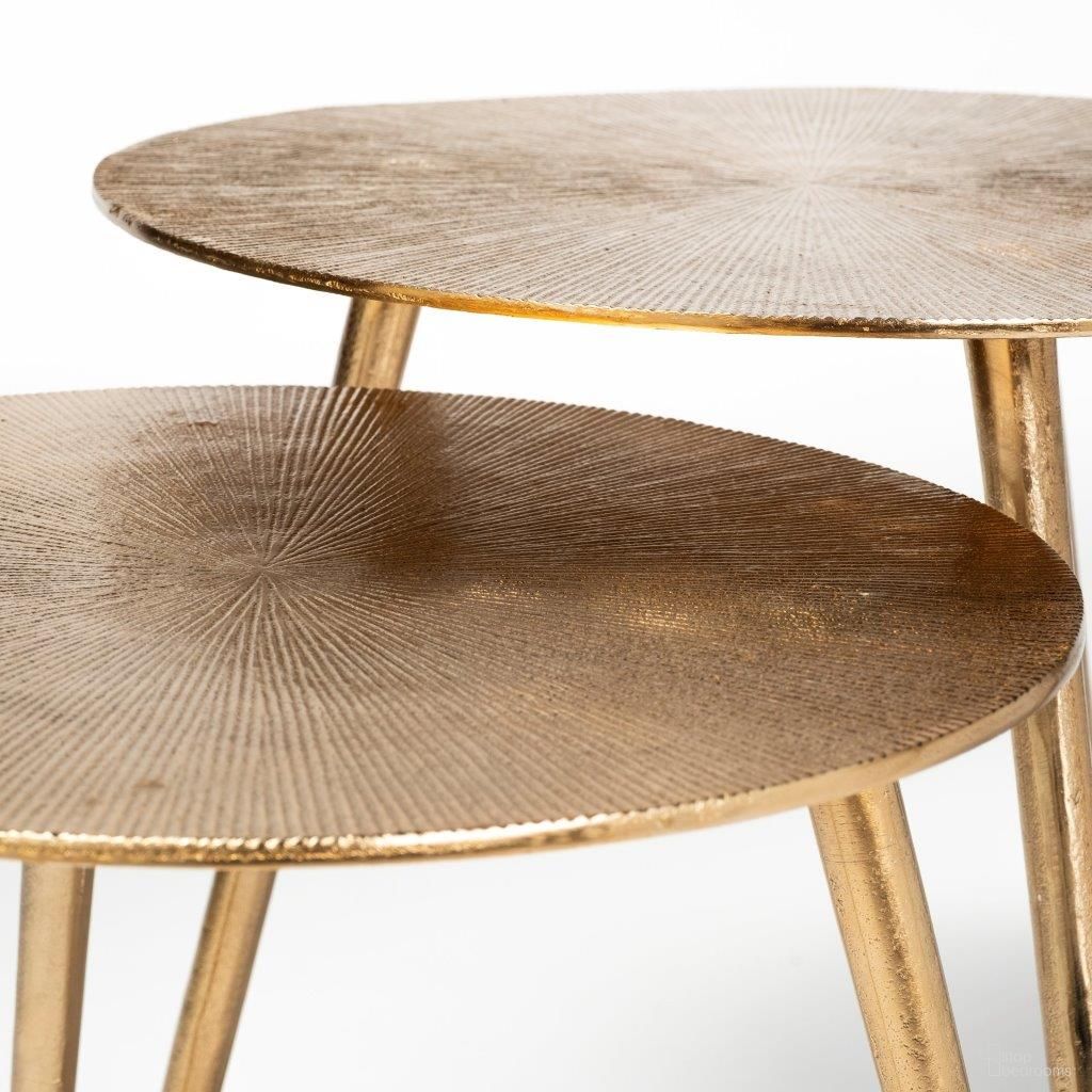 Reva Collection