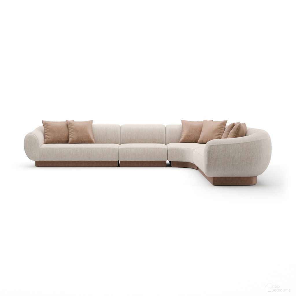 Seta Collection