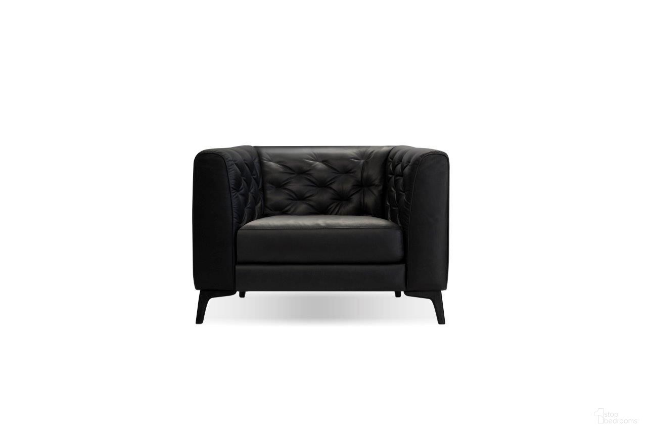 Dalton Collection