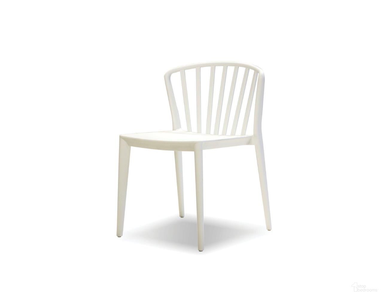 Windsor Collection