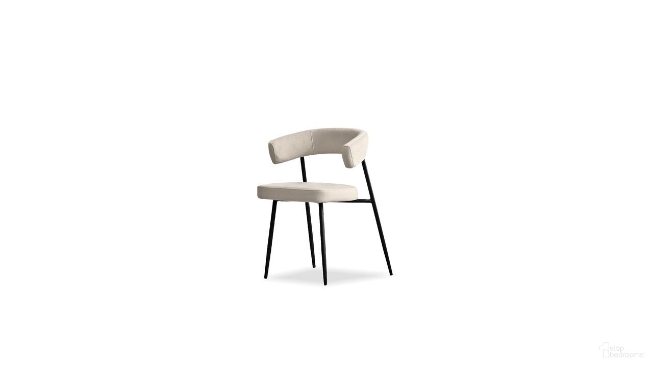 Cassis Collection