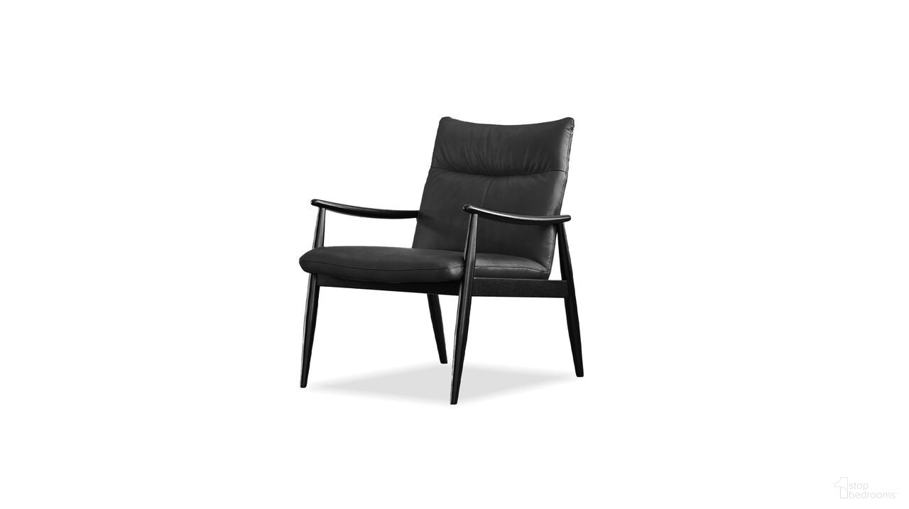 Inga Collection