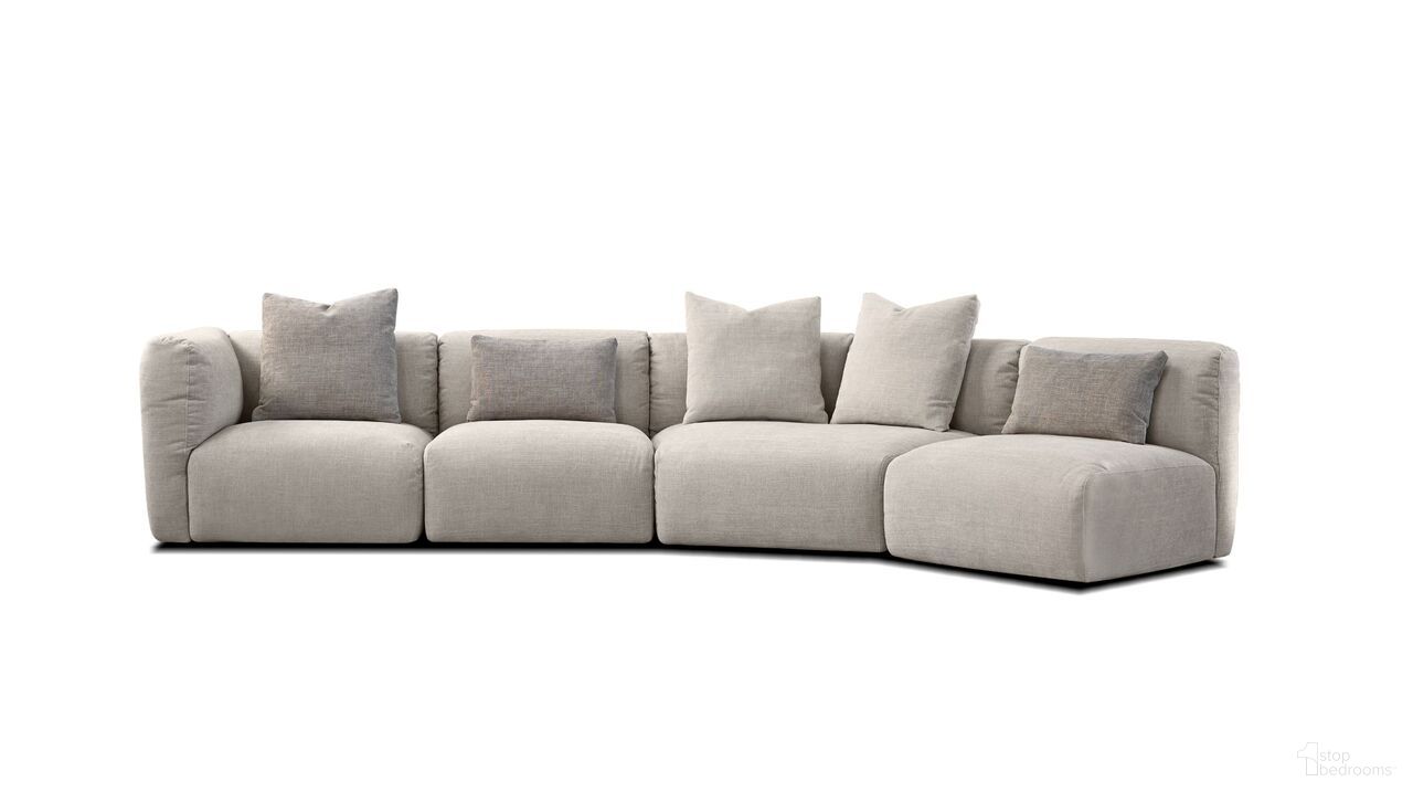 Maarten Collection