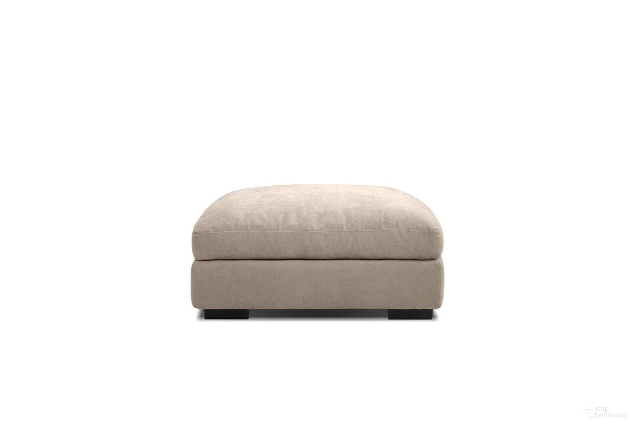 Onza Collection