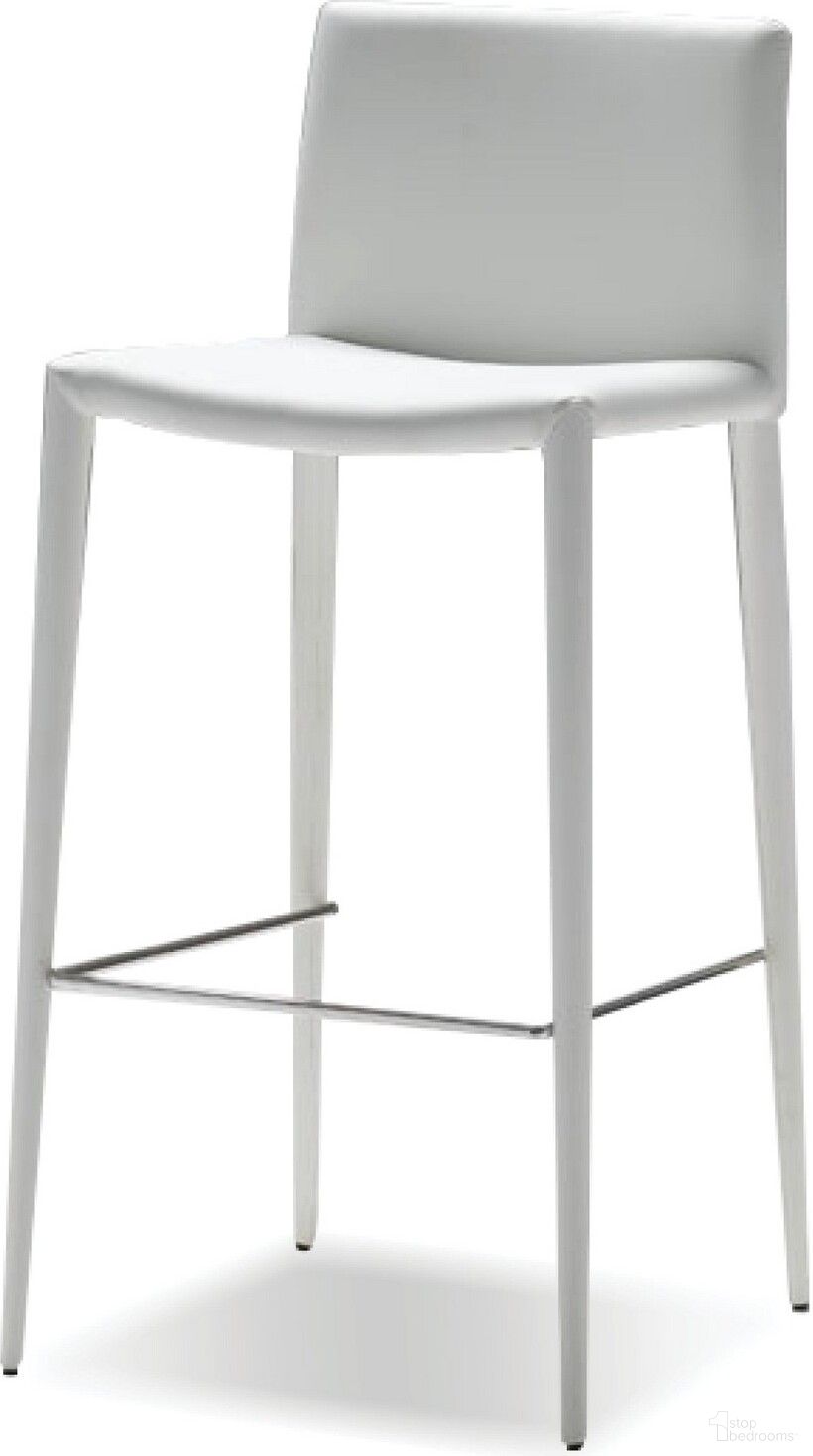 Zeno Collection