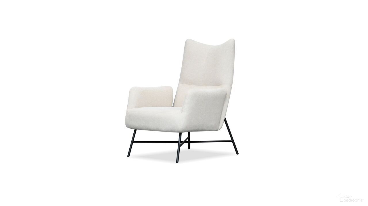 Caraway Collection