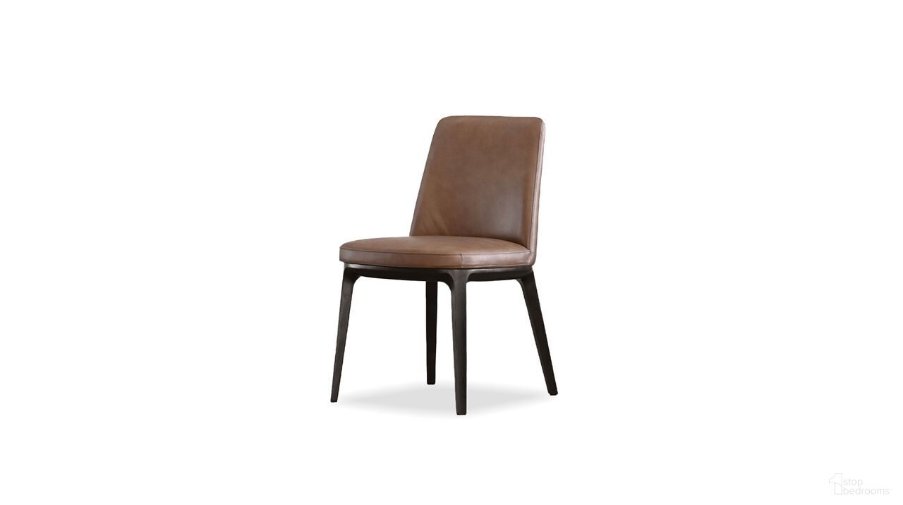 Maven Collection