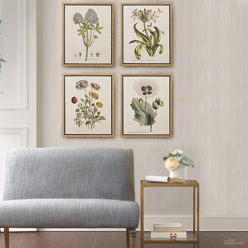 Herbal Botany Collection