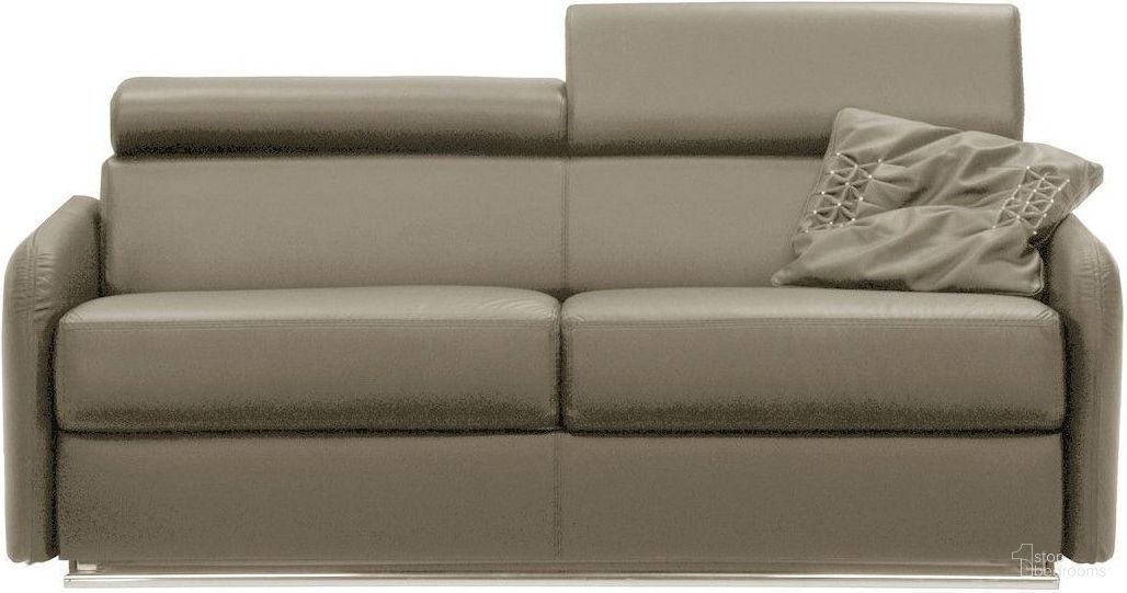 Carina Collection