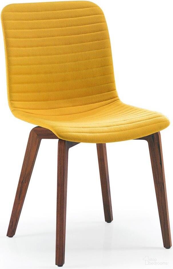 Vela Collection
