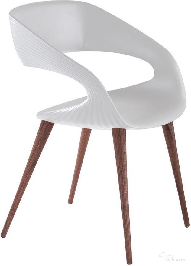 Shape Collection