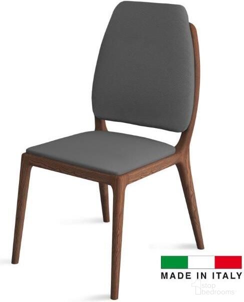 Febe Collection