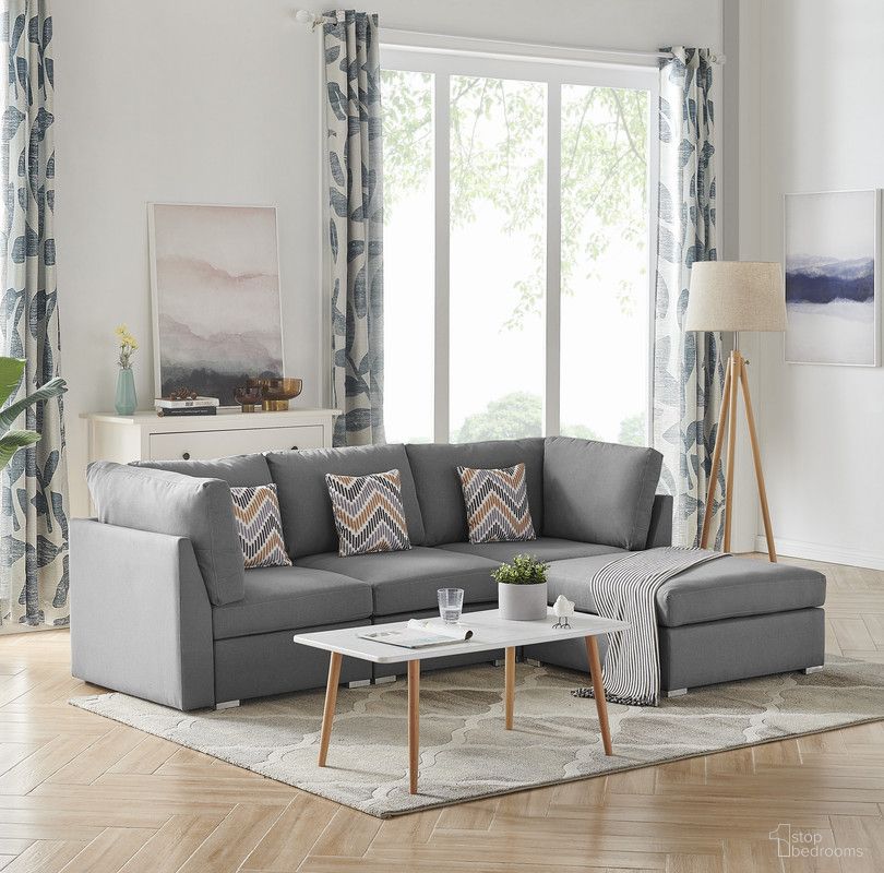 Amira Collection