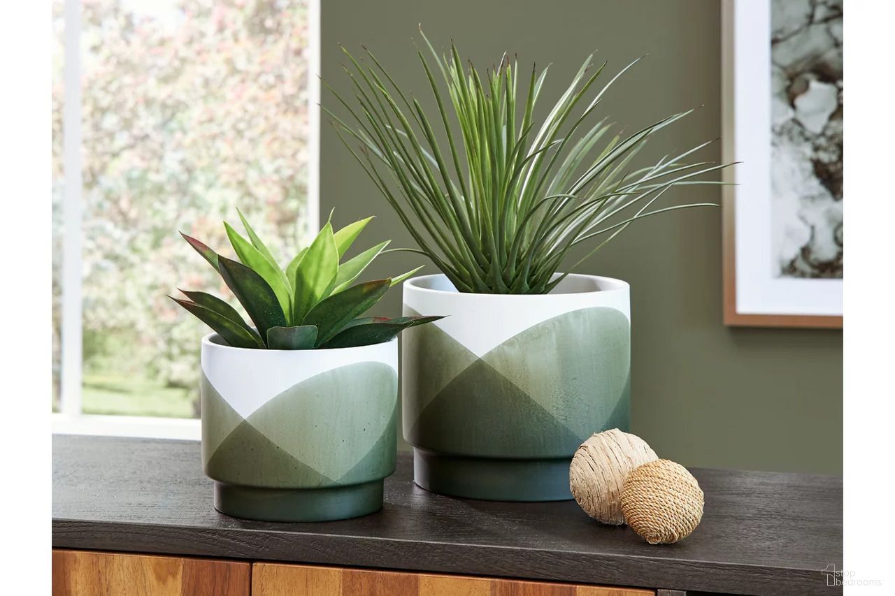 Ardenridge Collection