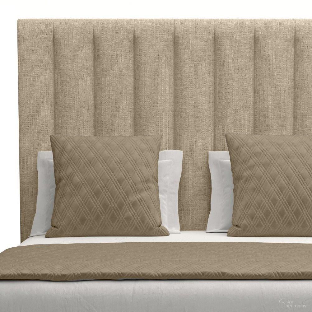 Moyra Collection