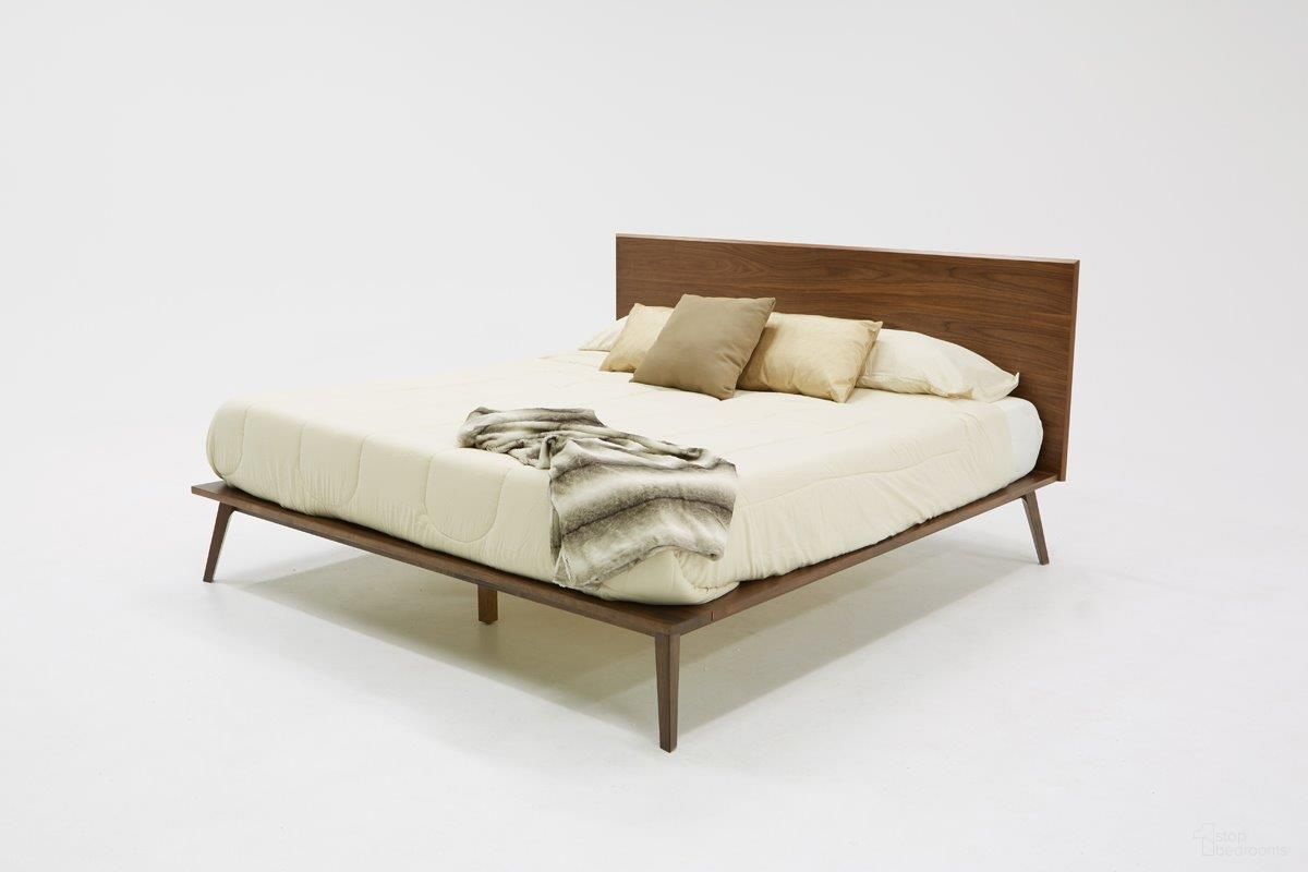 Modrest Carmen Collection