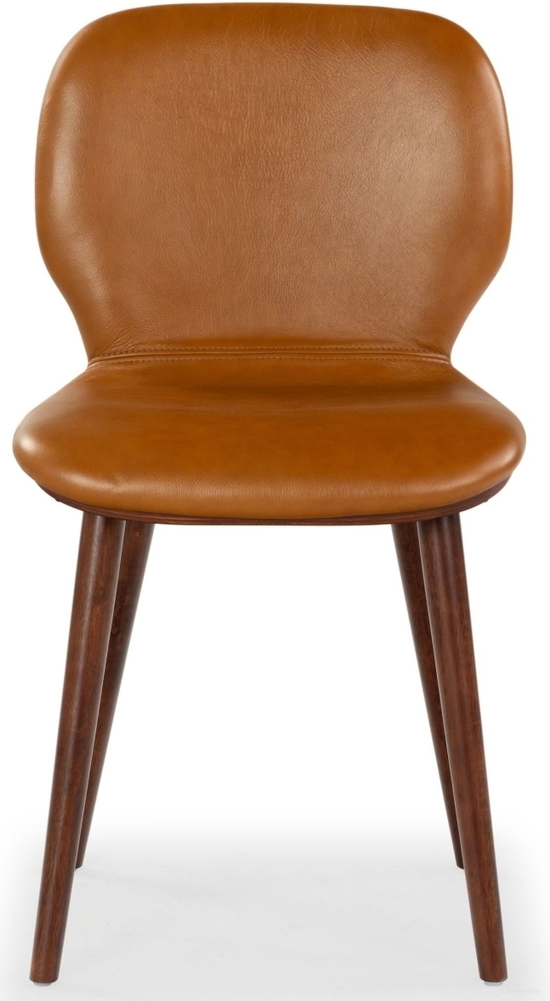 Tazmyn Collection