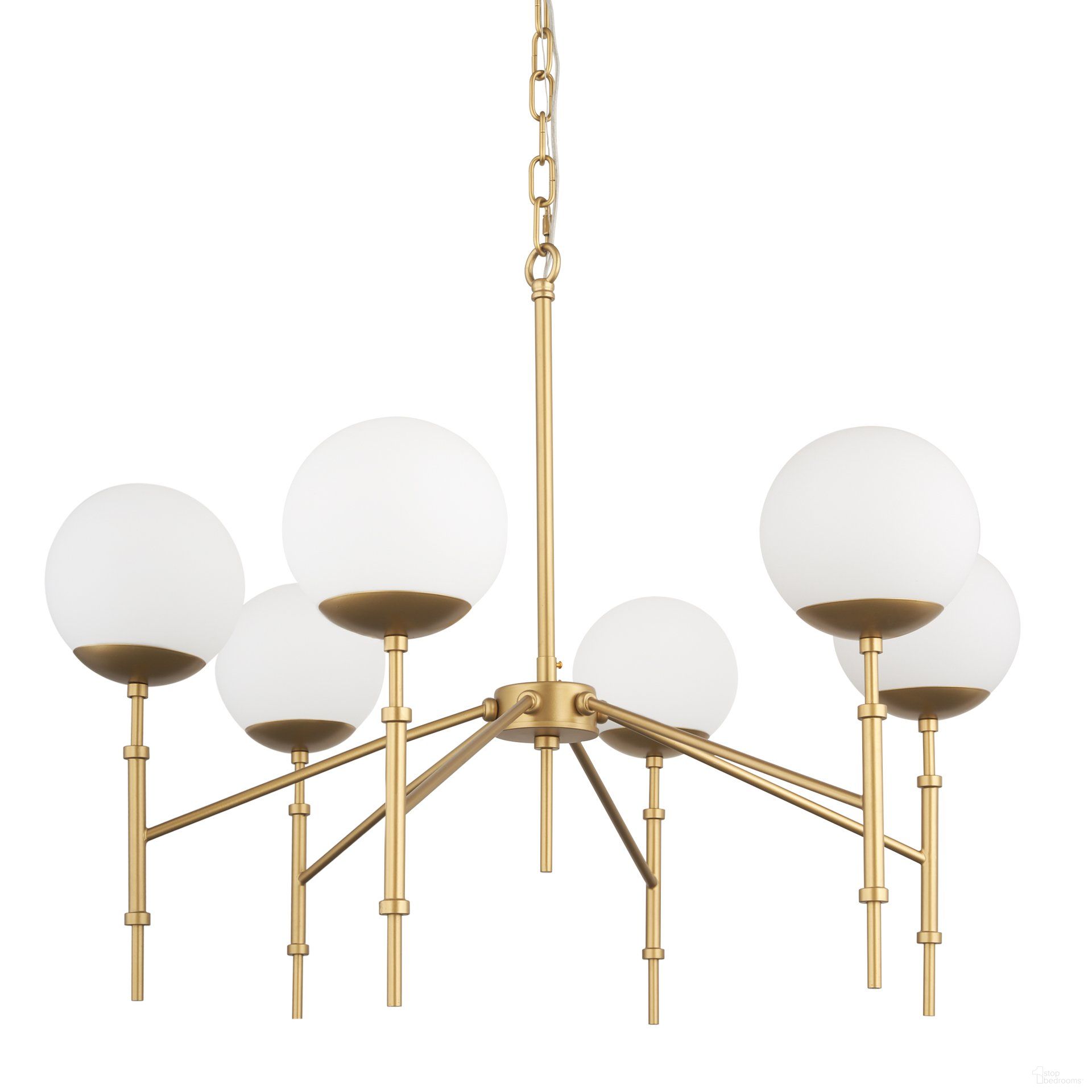 Edie Collection