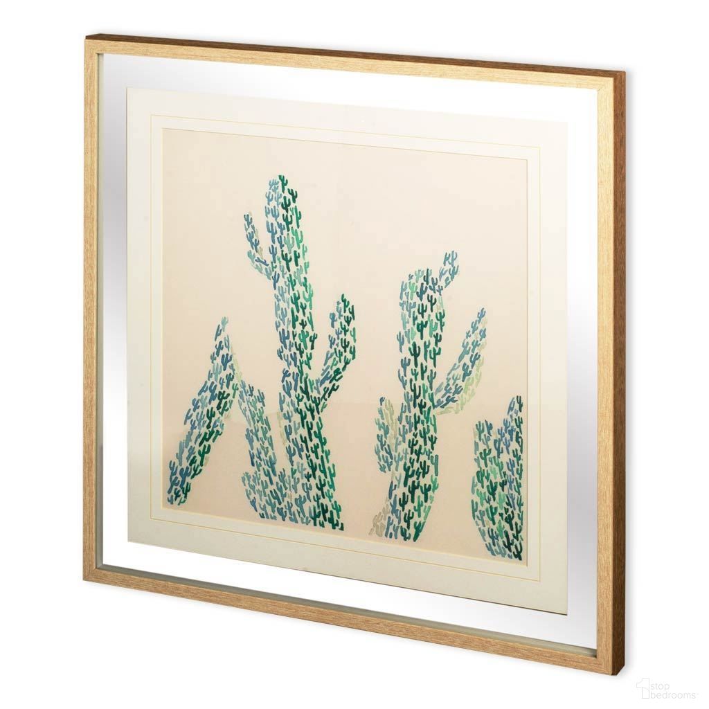 Cactus Collection