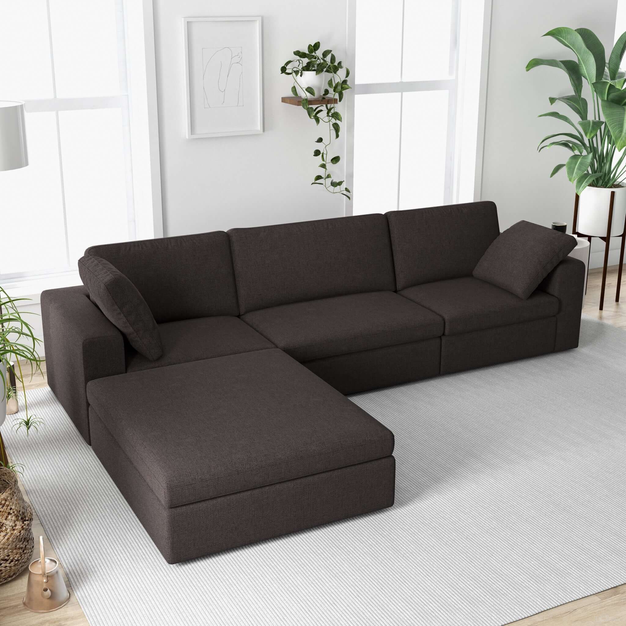 Cecilia Collection