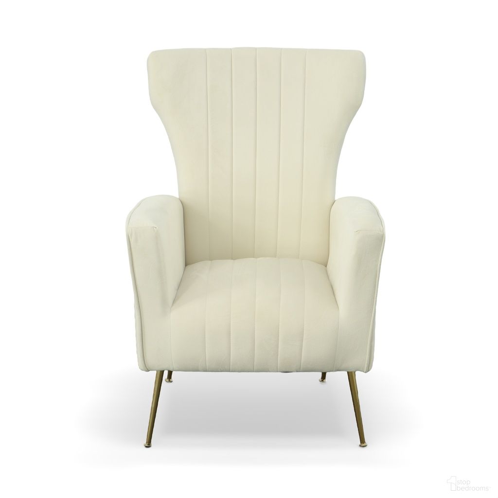 Cela Collection