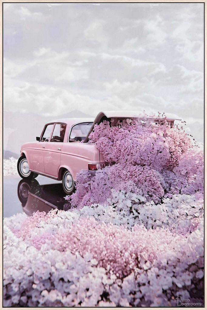 Enchanting Collection