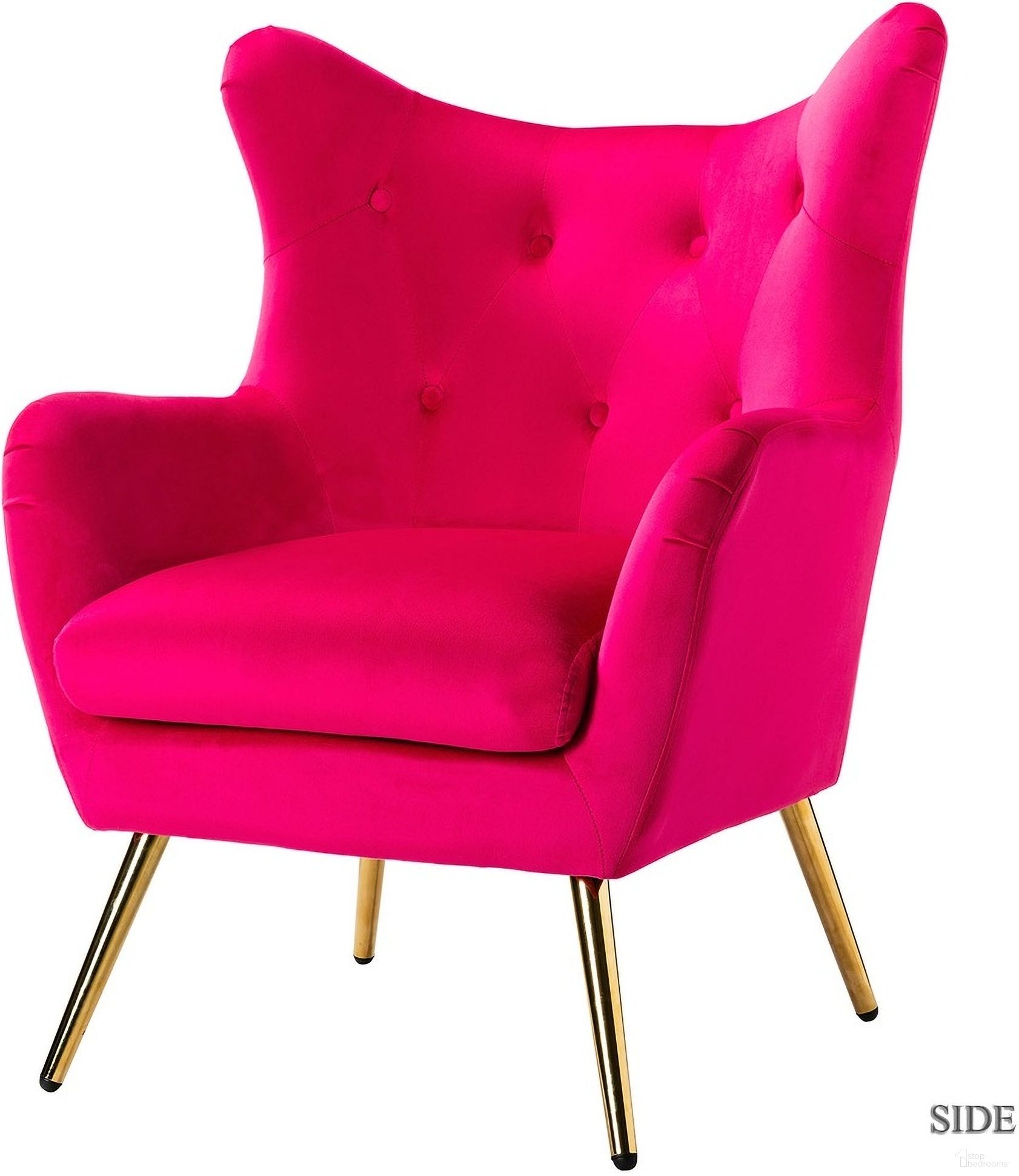 Arama Collection