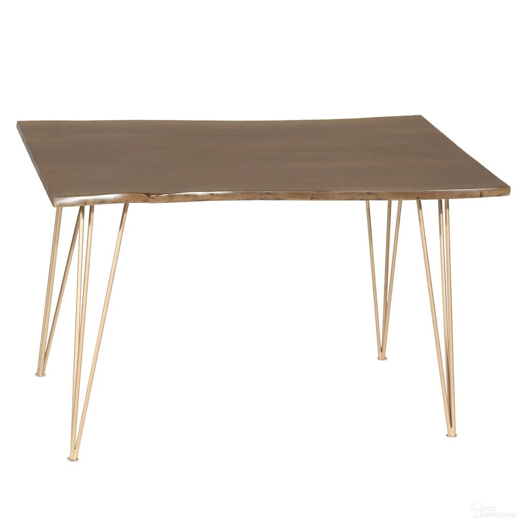 The appearance of 48 Inch Solid Wood and Iron Dining Table In Brown and Gold designed by Homeroots in the transitional interior design. This brown and gold piece of furniture  was selected by 1StopBedrooms from  to add a touch of cosiness and style into your home. Sku: 517762. Table Base Style: Legs. Material: Wood. Table Top Shape: Rectangular. Size: 30" x 48".
