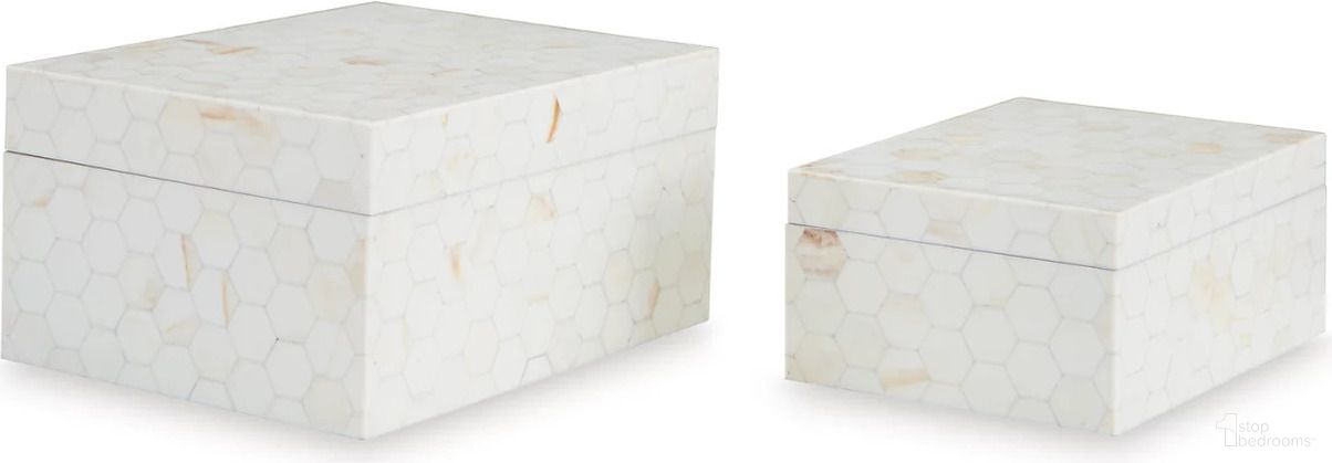 The appearance of Aldenburg Box Set of 2 In Cream designed by Signature Design by Ashley in the transitional interior design. This cream piece of furniture was selected by 1StopBedrooms from Aldenburg Collection to add a touch of cosiness and style into your home. Sku: A2000690. Material: Wood.