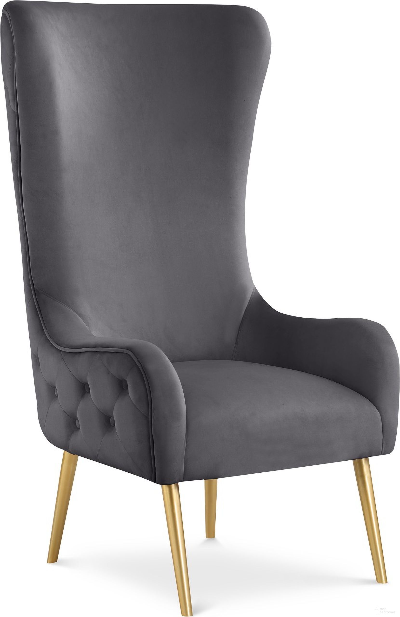 Alexander Velvet Accent Chair In Grey