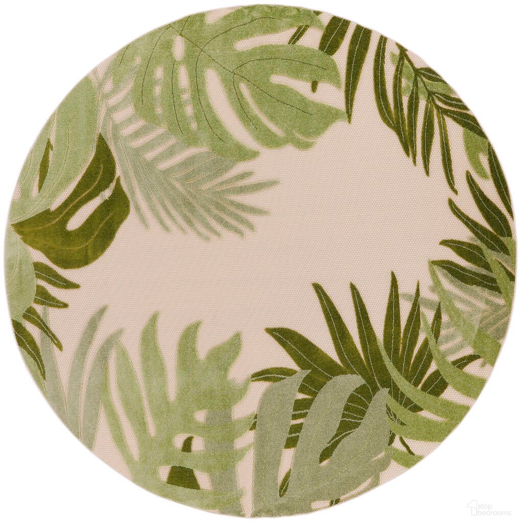 The appearance of Aloha 7'10" x 7'10" Round Outdoor Rug In Ivory and Green designed by Nourison in the indoor/outdoor interior design. This ivory and green piece of furniture was selected by 1StopBedrooms from Aloha Collection to add a touch of cosiness and style into your home. Sku: 99446953650. Material: Polypropylene.