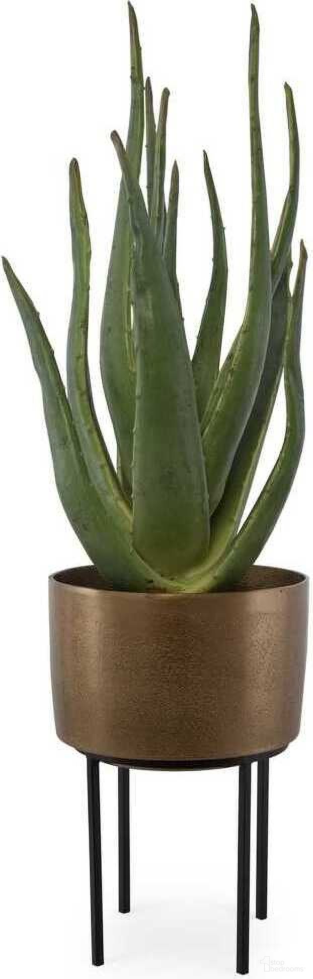 The appearance of Arabia Aloe Planter In Green designed by Uttermost in the modern / contemporary interior design. This green piece of furniture was selected by 1StopBedrooms from Arabia Collection to add a touch of cosiness and style into your home. Sku: 60217. Material: Foam.