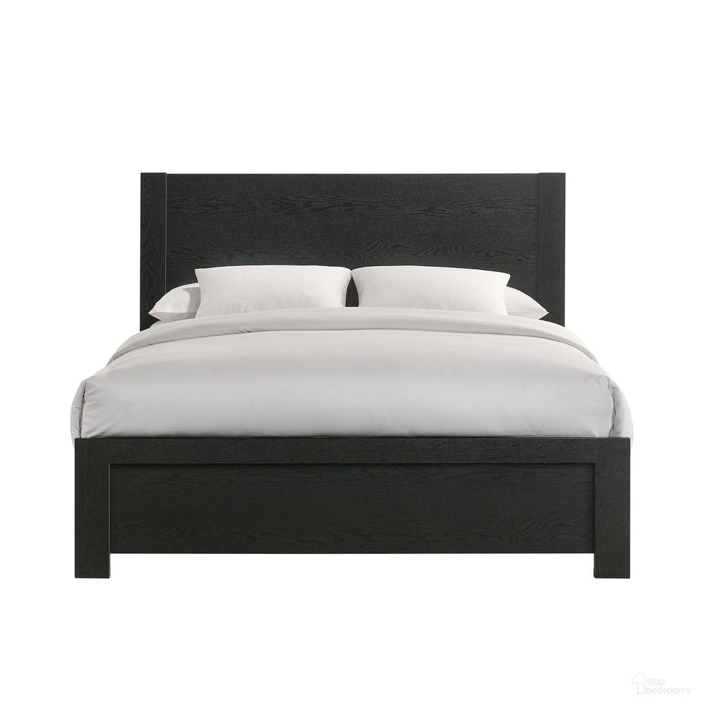 Ardmore Bend Queen Panel Bed In Black