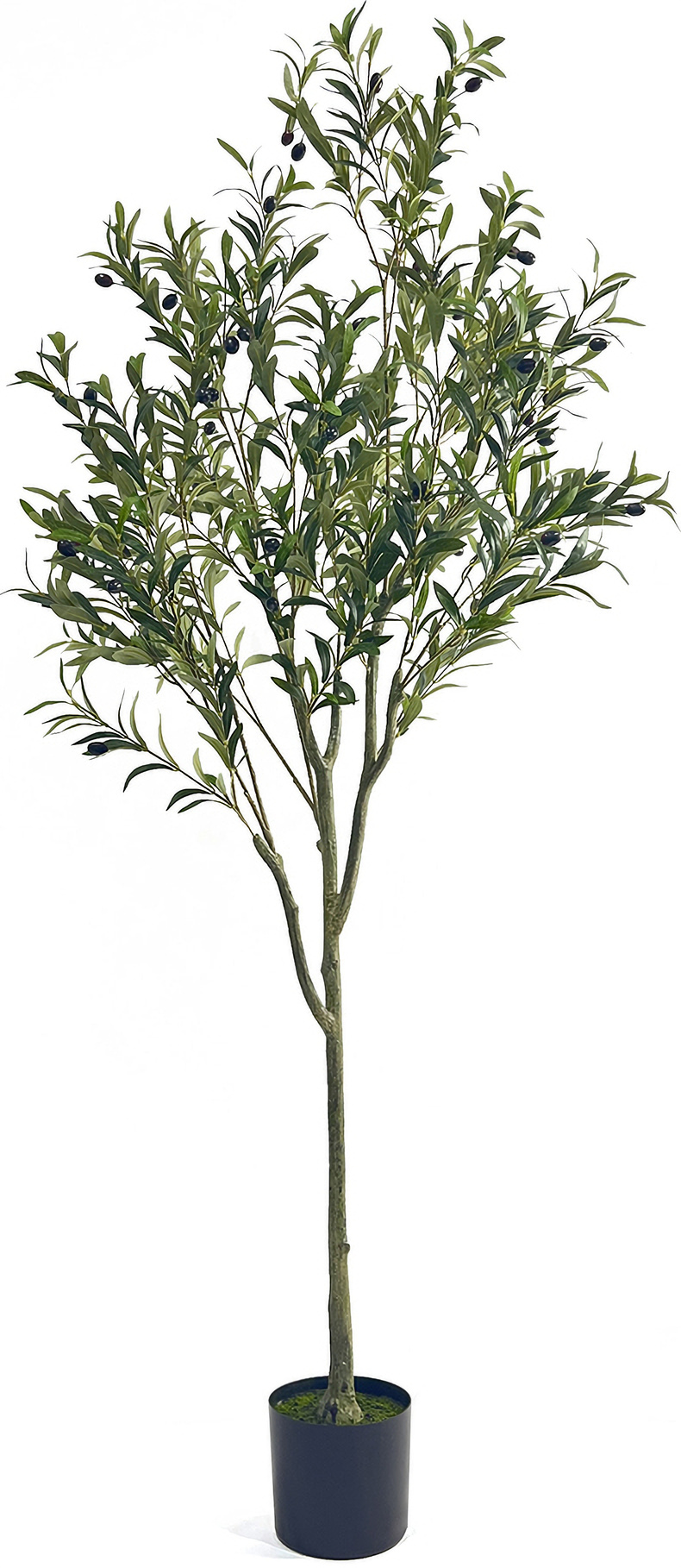 Artificial Olive Tree with Oblong Leaves and Slim Branches In Green by ...