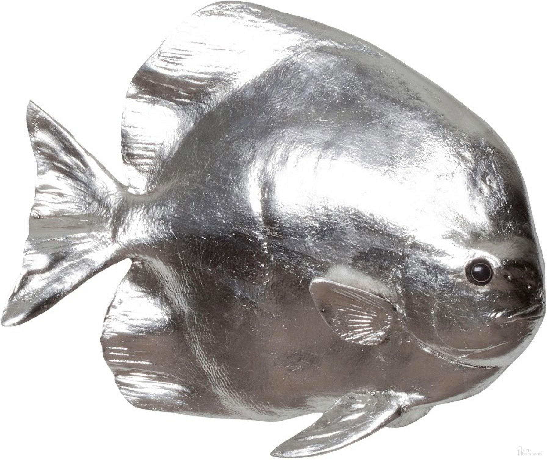 Australian Batfish PH64557