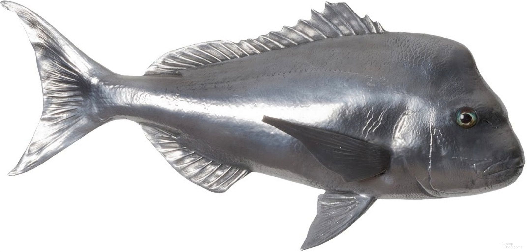 Australian Snapper Fish PH64556