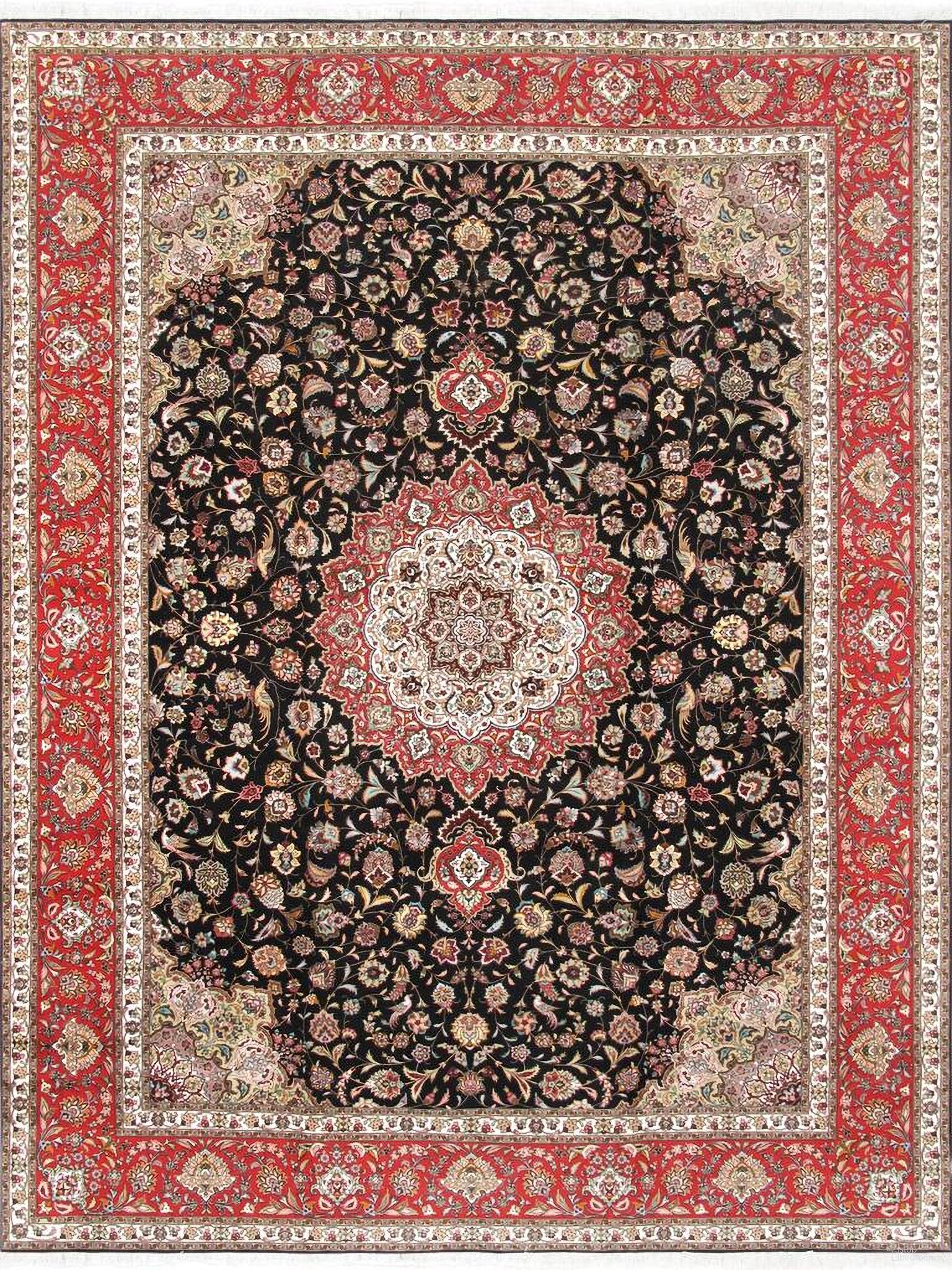 Baku Collection Hand-Knotted Silk and Wool Area Rug- 9'10" x 13' 6" In Black and Red