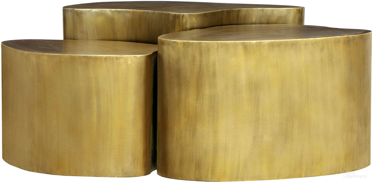 The appearance of Banyan Iron Coffee Table In Gold designed by Meridian in the modern / contemporary interior design. This gold piece of furniture  was selected by 1StopBedrooms from Banyan Collection to add a touch of cosiness and style into your home. Sku: 99050Gold-CT. Material: Iron.